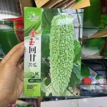 苦瓜种子金玉回甘苦瓜种子瓜皮淡绿色抗病性好春秋均可播种