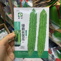 绿箭长绿苦瓜种子四季农家庭院阳台盆栽蔬果瓜果蔬菜