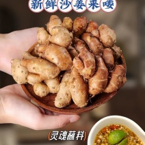 精品沙姜，有货，价格实惠
