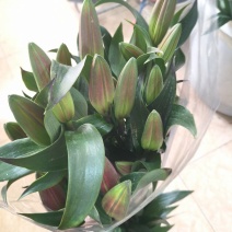 香水百合常年批发，单头，两头，多头，需要的老板联系