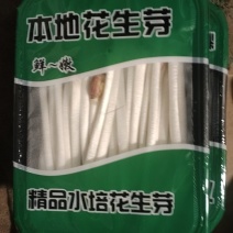 重庆有机水培花生芽脆嫩爽质量保障产地直销欢迎订购
