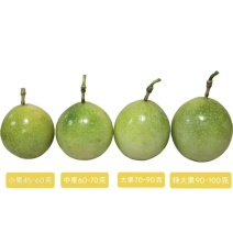 黄金百香果，精品电商市场，超市，全规格大量供应