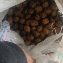 核桃【产地直供一手货源品质保证】欢迎来电