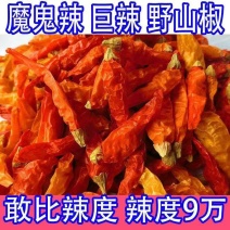 批发野山椒辣椒粉