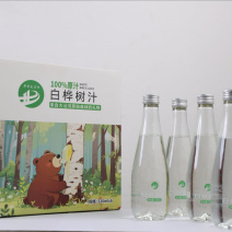 天然小兴安岭桦树汁大量供应货源充足，支持零售
