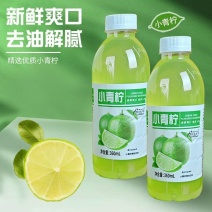 商超推荐360ml/小青柠果汁饮料清香柠檬果味饮品低脂整箱便
