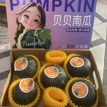 贝贝南瓜