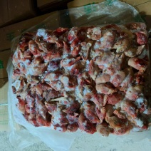 肉鸡头20吨，白菜价格优惠量大从优