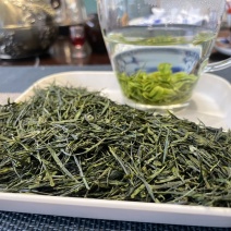 恩施明前玉露