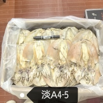 墨鱼干产地直销4-5个一斤