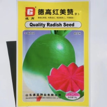 德高红美赞萝卜种子满堂红萝卜种籽心里美红心萝卜种子