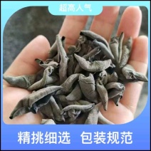 东北无根肉厚黑木耳干货秋木耳黑木耳干土特产做型