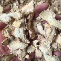 山东优质小黄姜片，大黄姜片，货量充足诚信经营致电联系