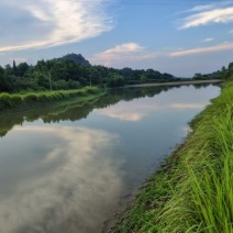 农场转让