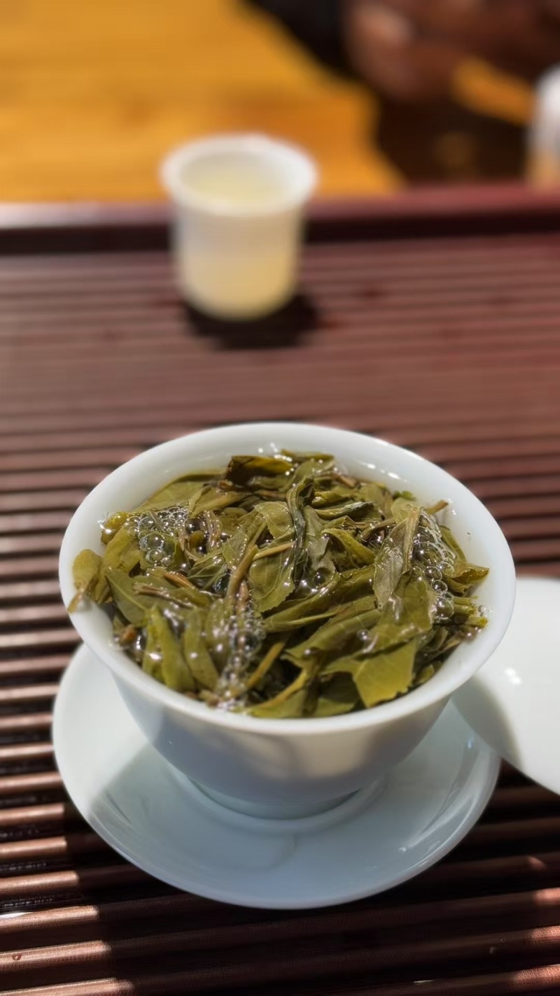 2025年滑竹梁子生茶古树