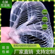 果树防护网防鸟网樱桃园防鸟网，可定制