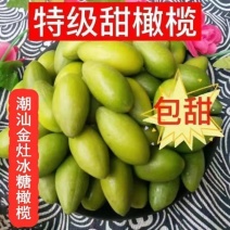 潮汕金灶青橄榄果现摘新鲜甜种橄榄榄生吃青果无渣脆甜