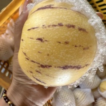 石林人参果