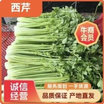 [内蒙精品芹菜]一手货源，产地直发，无干叶，颜色正！