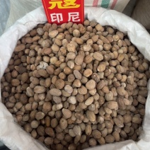 肉豆蔻