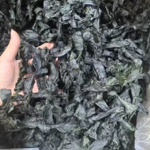 精品烘干海带小扣，标准规格，每个大小一样，一斤泡发20斤