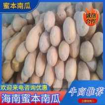 老南瓜，大量供应老南瓜，有需要的欢迎来洽谈