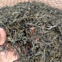 普洱茶