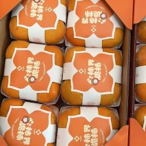 《精选》阳丰脆柿对接商超电商团购一条龙服务量大从优