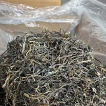 易武天门山生态茶