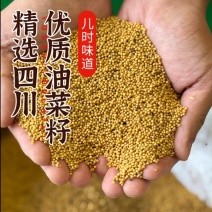 农家纯香菜油