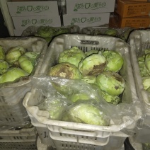 山西青苤蓝