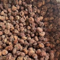 贵州野生刺梨干果崭新上市，简称果中**满满的维生素C