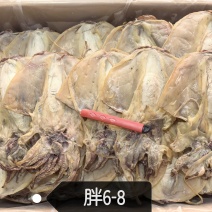 浙江墨鱼6-8个一斤。半盐墨鱼干干度好