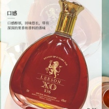 法国X