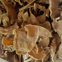 笋干片刀切片牛角片