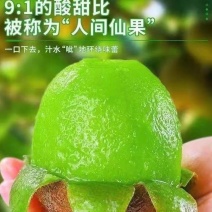 山东绿心猕猴桃奇异果猕猴桃种植基地直发没有中间商按需包装