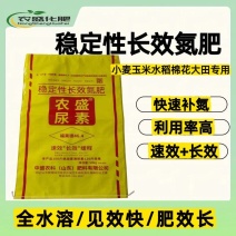 稳定性长效氮肥速效长效缓释快速补氮肥效期长