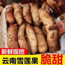 包邮【新鲜现挖】云南天山雪莲果新鲜整箱红心特级包邮现挖
