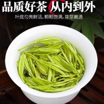 2025新茶茶农自产鲜香嫩芽贵州正安白茶明前正宗高山白茶