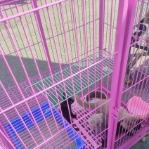 猫笼子