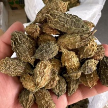 山苦瓜干货