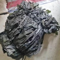 精品全青挂菜，一粒沙子没有，地摊展销会商超酒店各餐饮专用