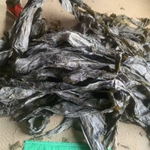 挂菜，新海带上市，9.5成干，品质好，地摊展销会火爆产品