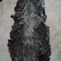 A级挂菜，质量**，又宽又厚，颜色干度好，无沙无黄叶