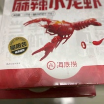 9元海底捞麻辣小龙虾1.25kg2025年新虾均级4