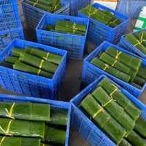 芭蕉叶大量有货
