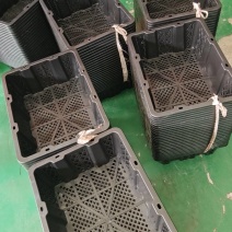 鸡毛菜包装运输筐