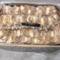 浙江东海本港墨鱼干品质好货量大从优