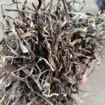 普洱茶