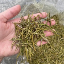 黄金芽